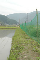 鹿よけネット