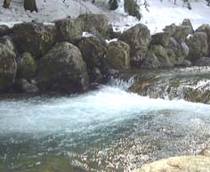 名水百選の水を使用